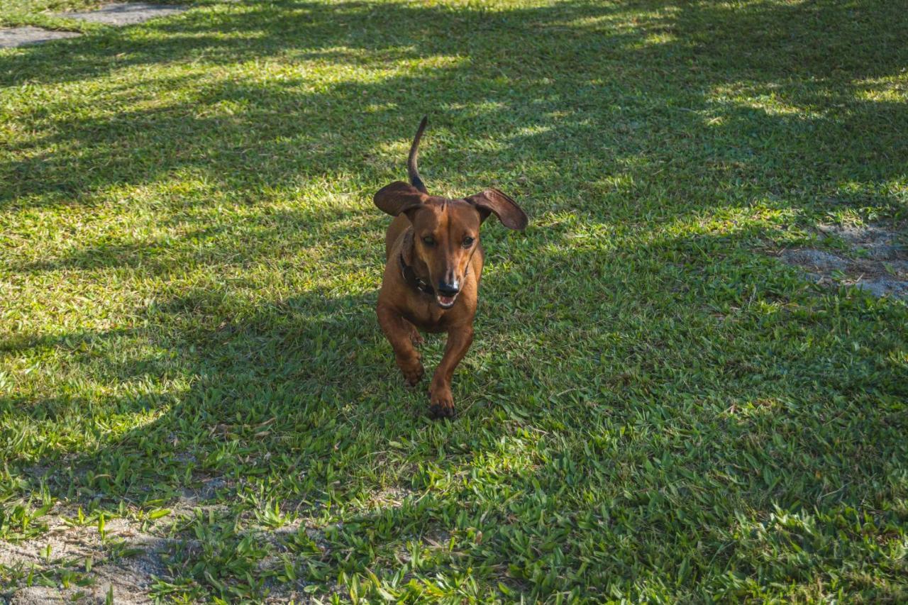 Casa Vista Para Montanha Pet Friendly Caraguatatuba Exteriér fotografie